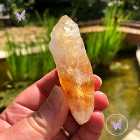 Natural Raw Citrine Crystal Point